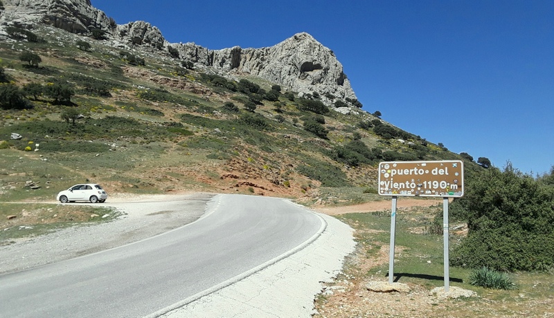 Andalusia: le orchidee e Grandi Pietre  marzo-aprile 2023.
